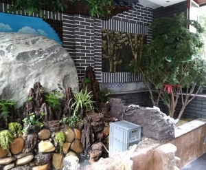 大连开发区花室装修